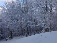 Аэропорт Срочно 20соток