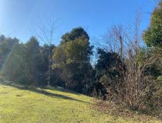  Участок 50 соток Очамчырский район