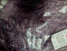 Нитяные занавески