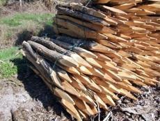 Куплю колышки из акации 