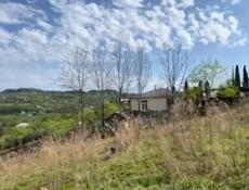 Участок 50 соток Сухум на ЧАНБА 