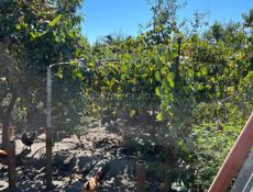 Дом в Агудзере