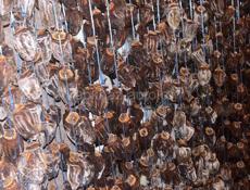 Сушенная хурма сладкая