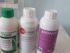 Аполла Скор Ниссоран 