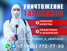 Уничтожение тараканов