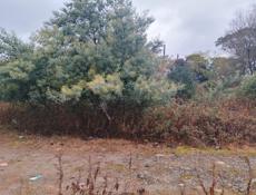 Продается в центре 