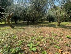 Продается земельный участок