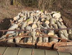 Граб дрова🪵 И Ольха 🪵