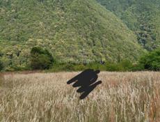 Риценское ущелье