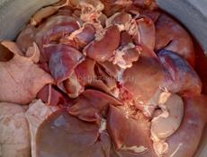 Готовые поросята