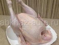 Продам куры, живые, и чищеные по 1200