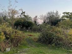 Участок около Сухумского аэропорта 