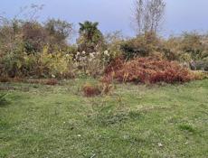 Участок около Сухумского аэропорта 