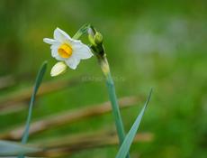 Сниму квартиру на новом районе либо на массиве 