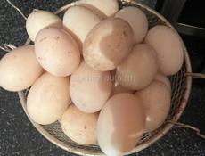 Продаються утиные яица цена 40 руб