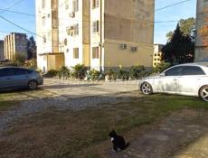 Выкупленная , отличное место.