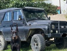 УАЗ Хантер