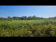 Очень срочно