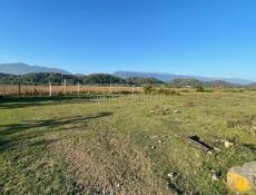 Пицунда , 15 соток 