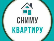 Сниму квартиру на круглый год 