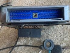 Мозг гелакси