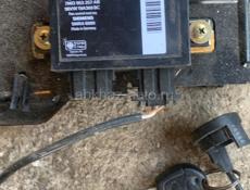 Мозг гелакси