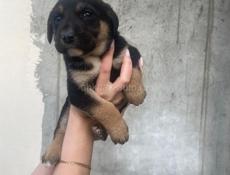 Малыши ищут дом 🥹