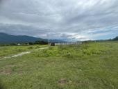 Алахадзе 6 сто 