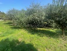 Продается двухэтажный дом 