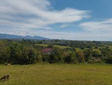 Участок 10 соток.  Золотой берег