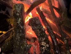 Ищу работу помощника повар 