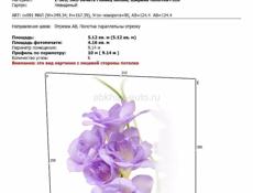 Натяжные потолки, Гипсовая штукатурка