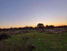 Продаю срочно