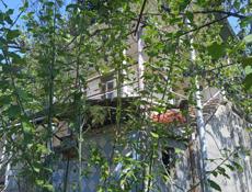 Продам или обменяю дом в г. Гудаута