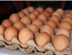 Яйца Инкубационные