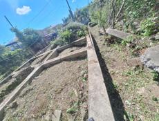 попилим распилим деревья