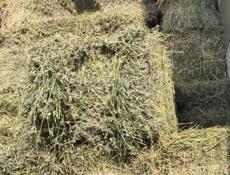 Сено люцерна 