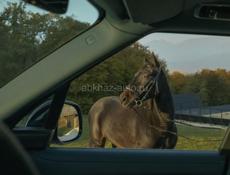 Сдается к.в. В Районе рынка….