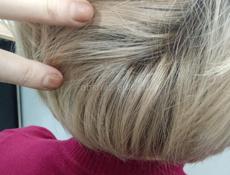 Парикмахер с выездом на дом