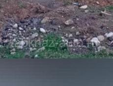 Цандрыпш рядом с парусом от море примерно 300м