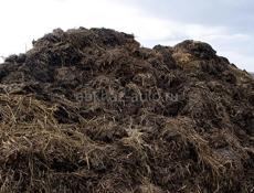 Козьи навоз 