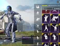 Обмен Аккаунт в Папг обмен