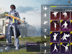 Обмен Аккаунт в Папг обмен