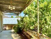 ОДНОЭТАЖНЫЙ ДОМ У ЦЕНТРА СУХУМА