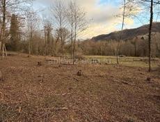 Гектар возле центр дороги!