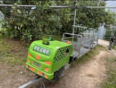 Монорельсовый конвеер