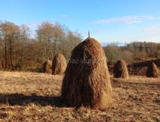 Продаётся сена 