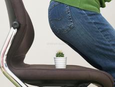 +Лекарство от ГЕМОРОЯ+