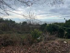 15 сотых очень срочно делю по 6 сотых