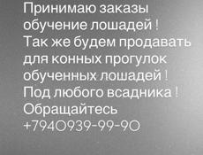 Продажа скупка